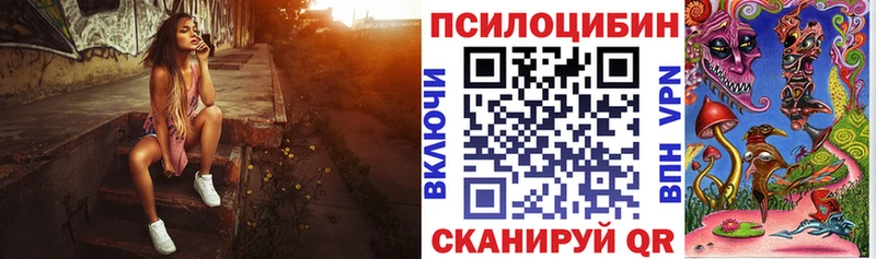 гидра ТОР  купить   Белая Калитва  Псилоцибиновые грибы мицелий 